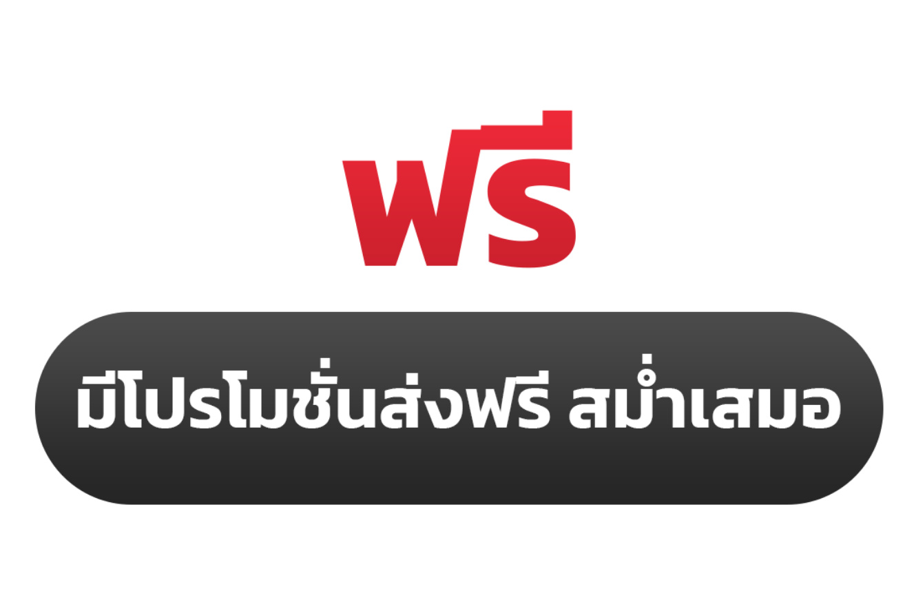 ฟรี มีโปรโมชั่นส่งฟรี สม่ำเสมอ